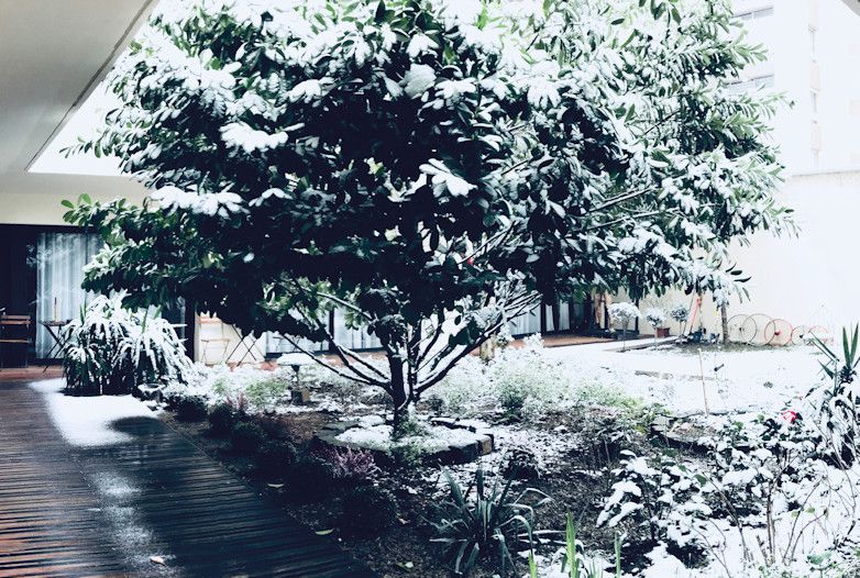 Lettre d&#039;information - Décembre 2021